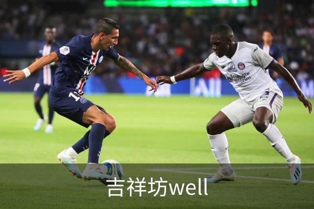 吉祥坊well团队与业务介绍